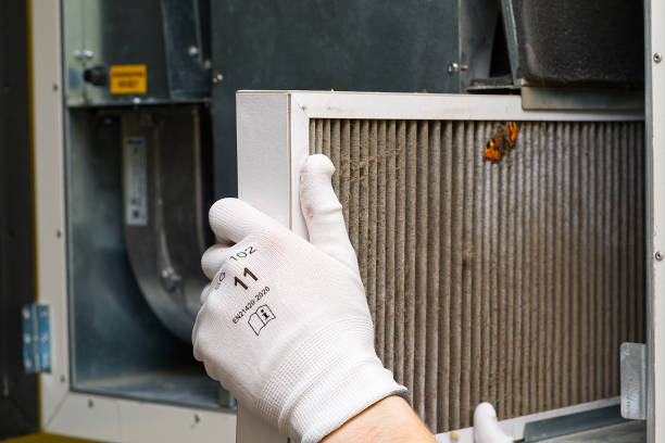 Air Duct Mold Removal in WA